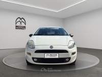 Fiat Punto 1.4 Natural Power Lounge Bianco usata Roma