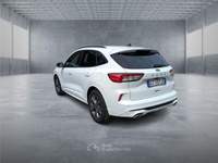 Ford Kuga 3ª serie 2.0 EcoBlue 120 CV aut. 2WD usata BARI