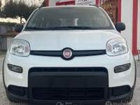 Fiat Panda FireFly S&S Hybrid City Life usata Anzio