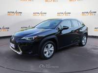 Lexus UX UX 250h 2.0 Business 2wd cvt my20 Nero usata Feltre