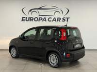 Fiat Panda 1.0 FireFly 70cv S&S Hybrid Nero usata Caresanablot