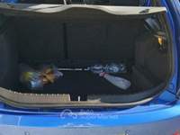 Alfa Romeo 147 JTDm (170) 5p. Ducati Corse Blu/Azzurro usata Modugno