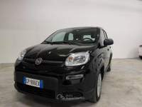 Fiat Panda FireFly S&S Hybrid usata Rovereto