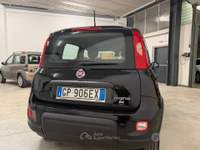 Fiat Panda FireFly S&S Hybrid usata Rovereto