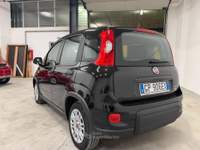 Fiat Panda FireFly S&S Hybrid usata Rovereto