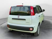 Fiat Pandina 1.0 65cv hybrid icon Bianco usata Fisciano Fiat Pandina 1.0 65cv hybrid icon Bianco usata Fisciano