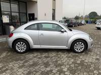 Volkswagen Maggiolino |UNIPRO|NEOPATENTATI Grigio usata Calestano