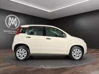 Fiat Panda 0.9 TwinAir Turbo Natural Power Easy Beige usata Bastia Umbra