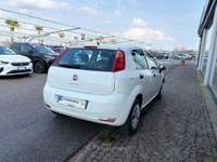 Fiat Punto EASY 1.3 MJT II 95 CV 5p. 5 posti Bianco usata Bagnaria Arsa