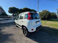 Fiat Panda 0.9 t.air t. 4x4 s&s 85cv my19 Bianco usata Grottammare