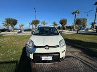 Fiat Panda 0.9 t.air t. 4x4 s&s 85cv my19 Bianco usata Grottammare