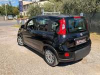 Fiat Panda - Panda - 1.0 FireFly S&S Hybrid Nero usata Prato