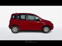 Fiat Panda 1.2 69cv Easy E6 Rosso usata Empoli