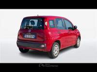 Fiat Panda 1.2 69cv Easy E6 Rosso usata Empoli