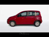 Fiat Panda 1.2 69cv Easy E6 Rosso usata Empoli
