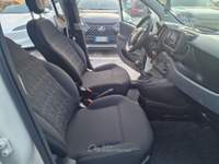 Fiat Panda 1.0 firefly hybrid City Life s&amp;s 70cv 2023 OK NEOPATENTATI Bianco usata ROMA