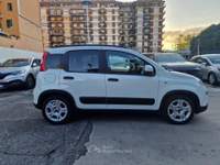 Fiat Panda 1.0 firefly hybrid City Life s&amp;s 70cv 2023 OK NEOPATENTATI Bianco usata ROMA