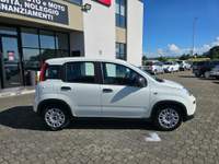 Fiat Panda Cross 1.0 Hybrid - BLUETOOTH Bianco usata Calestano