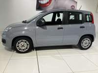 Fiat Panda 1.0 FireFly 70cv S&S Hybrid Grigio usata Fornovo di Taro