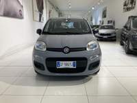Fiat Panda 1.0 FireFly 70cv S&S Hybrid Grigio usata Fornovo di Taro
