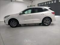 Ford Kuga 2.5 phev ST-Line X 2wd 225cv cvt Bianco usata Modena