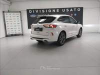 Ford Kuga 2.5 phev ST-Line X 2wd 225cv cvt Bianco usata Modena