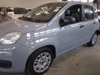 Fiat Panda 1.0 FireFly S&S Hybrid Grigio usata Piazzola sul Brenta
