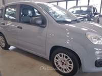 Fiat Panda 1.0 FireFly S&S Hybrid Grigio usata Piazzola sul Brenta