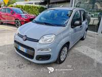 Fiat Panda 1.0 firefly hybrid s&amp;s 70cv 5p.ti Grigio usata San Michele all'Adige