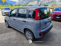 Fiat Panda 1.0 firefly hybrid s&amp;s 70cv 5p.ti Grigio usata San Michele all'Adige