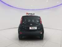 Fiat Pandina Pandina 1.0 FireFly 65 CV Hybrid Icon Nero usata Torino