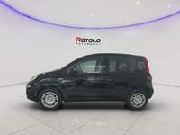 Fiat Pandina Pandina 1.0 FireFly 65 CV Hybrid Icon Nero usata Torino