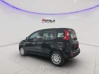 Fiat Pandina Pandina 1.0 FireFly 65 CV Hybrid Icon Nero usata Torino