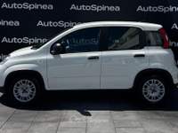 Fiat Panda 1.0 FireFly 70cv S&S Hybrid #5posti #packcity Bianco usata Spinea