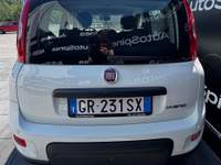 Fiat Panda 1.0 FireFly 70cv S&S Hybrid #5posti #packcity Bianco usata Spinea