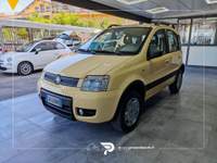 Fiat Panda Panda 1.2 Climbing 4x4 Giallo usata San Michele all'Adige