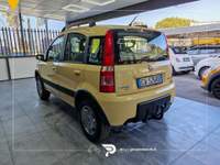 Fiat Panda Panda 1.2 Climbing 4x4 Giallo usata San Michele all'Adige