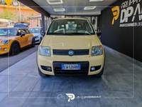 Fiat Panda Panda 1.2 Climbing 4x4 Giallo usata San Michele all'Adige