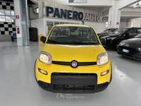 Fiat Panda Panda 1.0 firefly s&s hybrid pop Giallo usata Torino Fiat Panda Panda 1.0 firefly s&s hybrid pop Giallo usata Torino