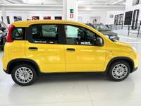 Fiat Panda Panda 1.0 firefly s&s hybrid pop Giallo usata Torino Fiat Panda Panda 1.0 firefly s&s hybrid pop Giallo usata Torino