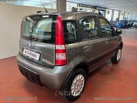 Fiat Panda Panda 1.2 4x4 Climbing Grigio usata Rivoli
