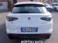 Alfa Romeo Stelvio 2.2 TD 210cv 56.000 KM MY23 AT8 Q4 SPRINT Bianco usata Mirandola Alfa Romeo Stelvio 2.2 TD 210cv 56.000 KM MY23 AT8 Q4 SPRINT Bianco usata Mirandola