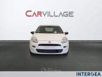 Fiat Punto Punto 8 van 1.3 mjt 16v s&s 95cv 4p.ti 5p e6 Bianco usata Sesto Fiorentino