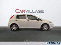 Fiat Punto Punto 8 van 1.3 mjt 16v s&s 95cv 4p.ti 5p e6 Bianco usata Sesto Fiorentino
