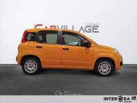 Fiat Panda Panda 1.0 firefly hybrid city life s&s 70cv Arancione usata Sesto Fiorentino