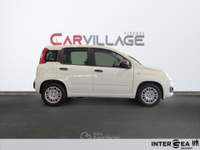 Fiat Panda Pandina 1.0 firefly hybrid s&s 70cv 5p.ti Bianco usata Sesto Fiorentino