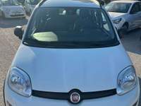 Fiat Panda Panda III 2021 1.0 firefly hybrid City Life s Bianco usata Sant'Omero
