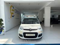 Fiat Panda 1.0 FireFly S&S Hybrid da €119,00 mensili  Bianco usata Somma Vesuviana