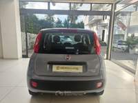 Fiat Panda 1.0 FireFly S&S Hybrid da €119,00 mensili  Grigio usata Somma Vesuviana