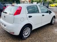 Fiat Punto 5 porte Street usata PRATO